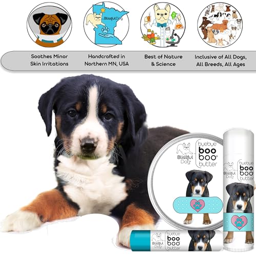Greater Swiss Mountain Dog Boo Boo Butter (4 Ounce / Greater Swiss Mountain Dog)