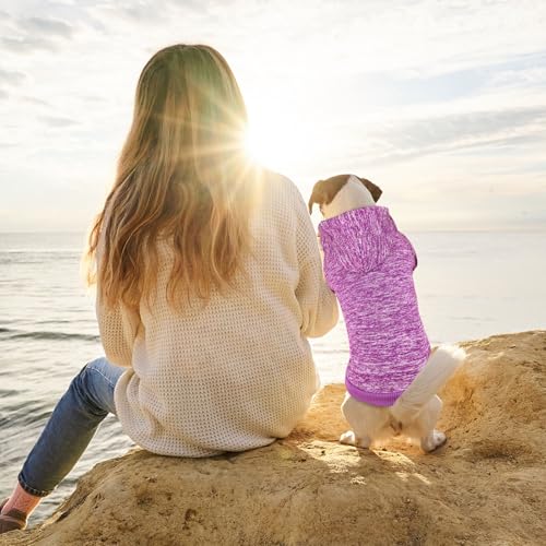 Dog Sweaters for Small Dogs Hoodie Fleece Dog Sweater Soft Clothes Sweatshirt with Pocket Hoodie for Small Dogs Puppy Sweater (Small / Purple)