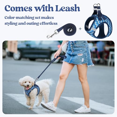 Dog Harness Medium Sized and Leash Set (Blue Zigzag / L (chest: 18.2 - 20.5"))