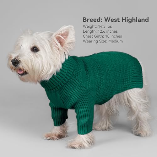 Dog Sweater Long Sleeve Warm Sweaters for Small Dogs Boy Girl Cats (Green / Small)