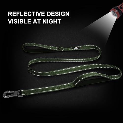 6FT 1IN Heavy Duty Dog Leash for Large Dogs with 2 Padded Handles (Green / 1 in x 6 ft)