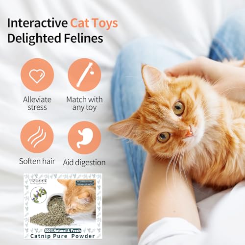 Premium Catnip for Cats & Kittens (25g)
