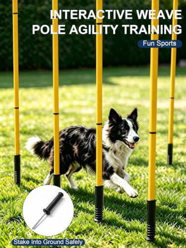 Dog Agility Training Hurdle Cone Set