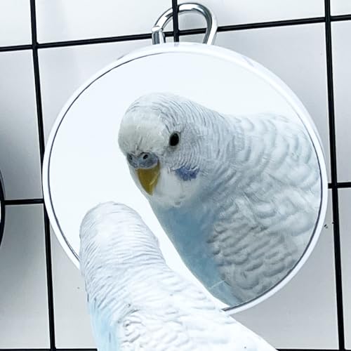 2PCS Bird Mirror Toy for Cage