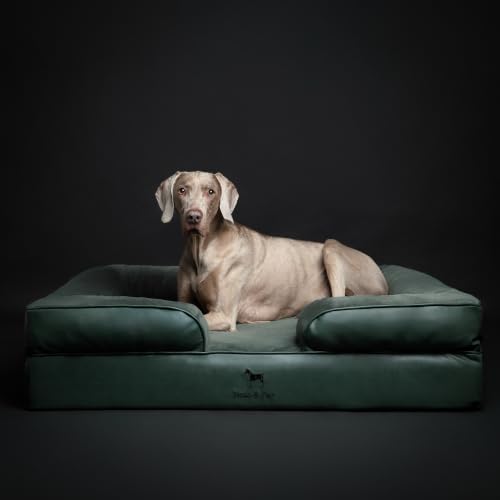 Large Dog Bed (Green - LE / X-Large)