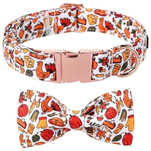 Thanksgiving Dog Collar (Medium (Pack of 1) / Harvest Autumn)