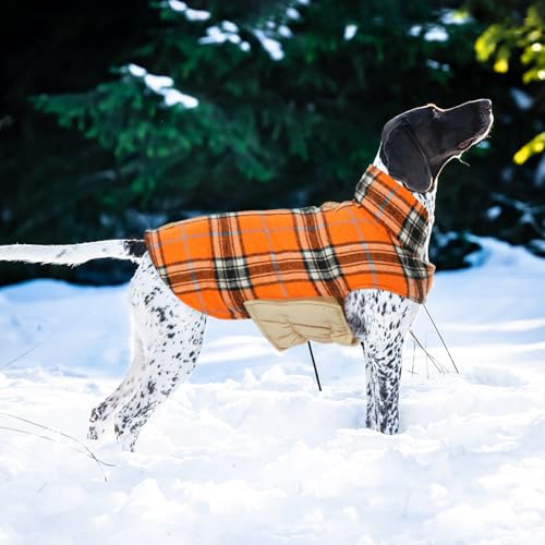 Waterproof Dog Coat (Orange / Medium (Pack of 1))