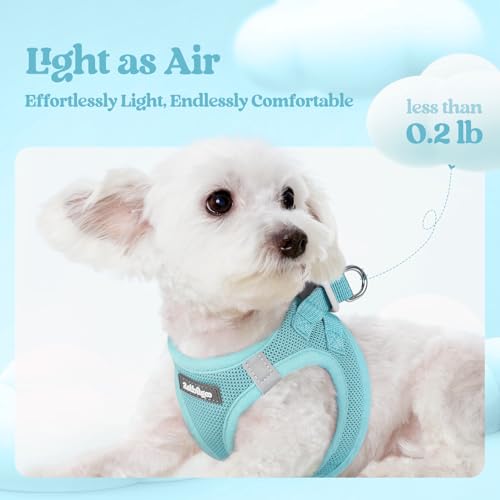 Dog Harness Medium Sized and Leash Set (Mint Blue / Xl (chest: 20 - 21.8"))