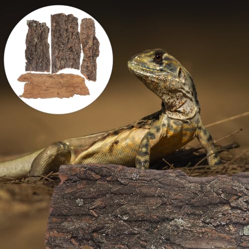 Tree Bark Reptile Climbing Decor Reptile Hide Terrarium Decor