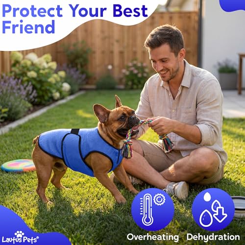 Dog Cooling Vest (Dark Blue / M)