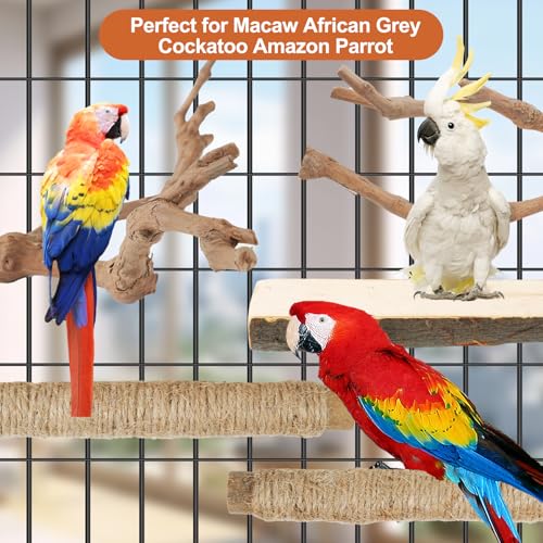 Bird Perch Stand