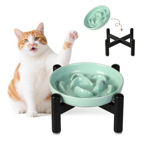 Elevated Ceramic Slow Feeder Cat Bowl (Green Raised (Metal) / 3.9"H Raised (Metal))