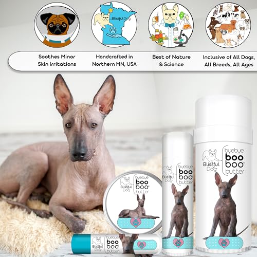 Xoloitzcuintli Boo Butter (4 Ounce / Xoloitzcuintli)