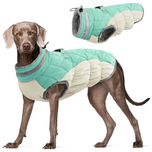 Dog Coat for Large Dogs (Mint Green / XXXL(chest:43in))