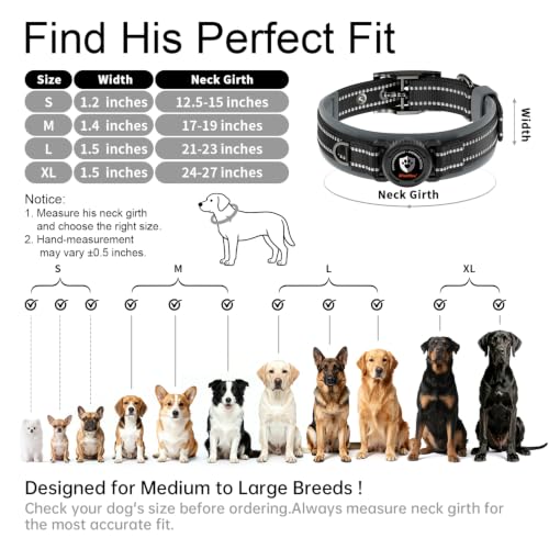 Heavy Duty Dog Collar with AirTag Holder (Black / M (17-19in Neck))