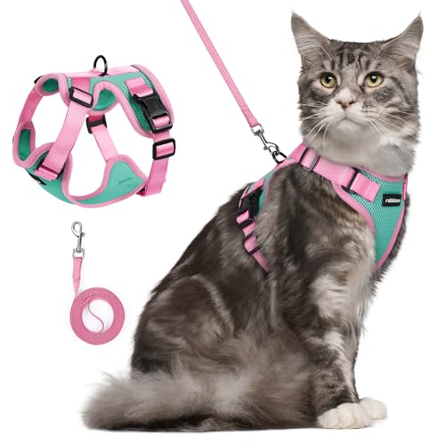 Cat Harness and Leash Set (Green & Pink / M)