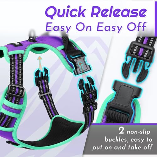 Dog Harness for Large Dogs (Large / Purple & Turquoise)