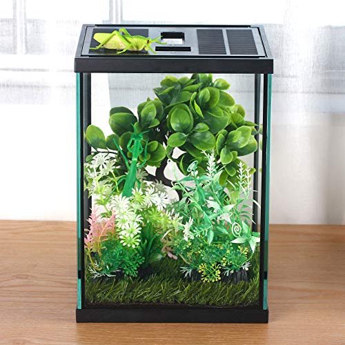 Vertical Glass Terrarium for Mantis (L7.8 x W7.8 x H10.8 inches / Black)