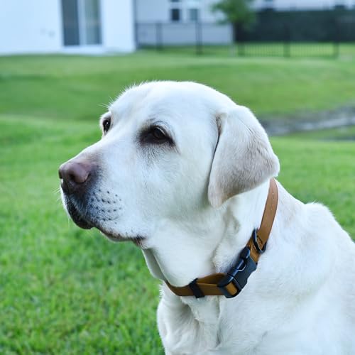 Biothane Waterproof Dog Collar with Quick Release Buckle Strong Coated Nylon Webbing with Odor (3/4"W by 12-19"L / Coyote Brown)