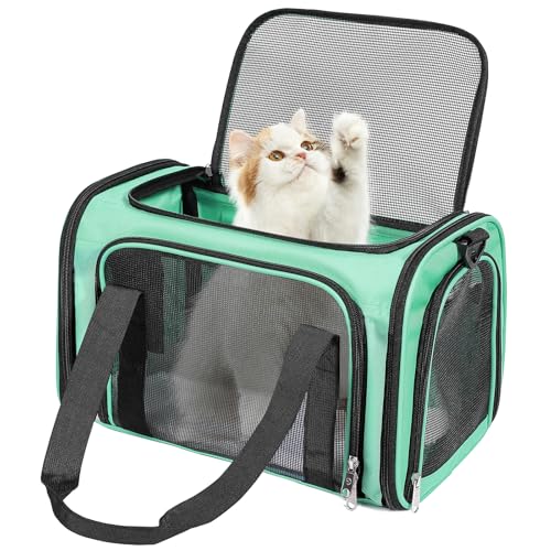 Cat Dog Carrier Up to 15 Lbs TSA Airline Approved Pet Carrier for Small Medium Cats Puppies Dog Carriers for Small Dogs Collapsible Soft Sided Cat Travel Carrier (15.8"L x 10.2"W x 10.2"H / Green)