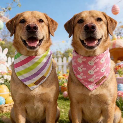 Easter Dog Bandanas 2 Pack (Easter / X-Large)