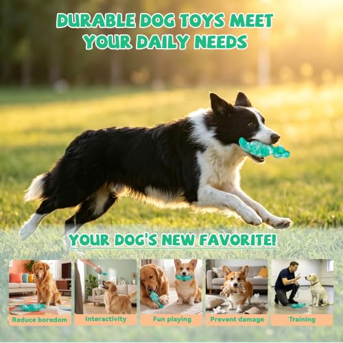 2Pack Tough Dog Toys for Aggressive Chewers (Green / Medium)