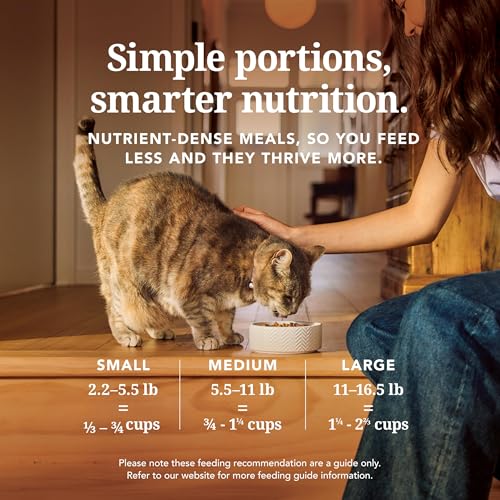 High Protein Freeze Dried Dry Cat Food with 98% Meat (11 Ounce (Pack of 1))