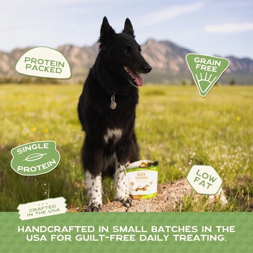 Healthy Soft Dog Treats (5 Ounce (Pack of 1))