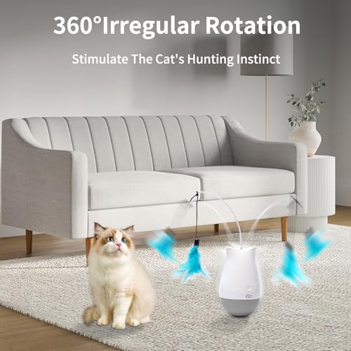 Cat Toys Interactive for Indoor (DPT01)