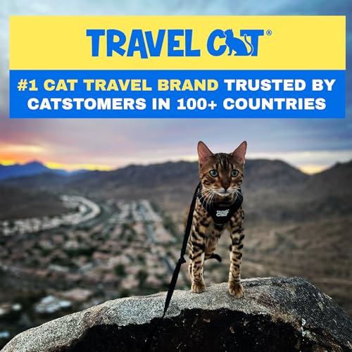 Travel Cat Harness and Leash Set (Medium / Black)