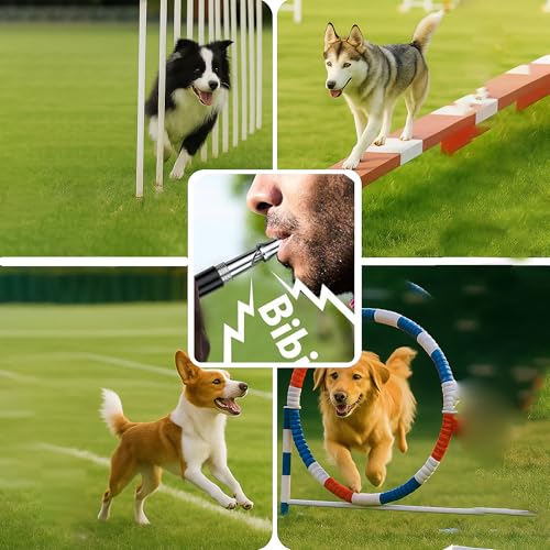 Dog Whistle Set of 5