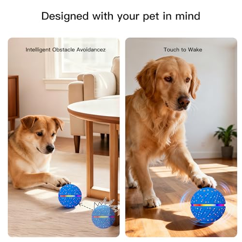 Interactive Smart Moving Dog Ball Toy (Blue / Medium)