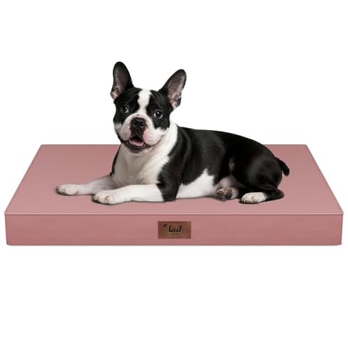 Orthopedic Waterproof Dog Bed for Small Dogs and Cats (Pink / 29.0"L x 18.0"W x 3.0"Th)