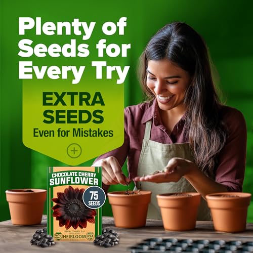 Chocolate Cherry Sunflower Seeds