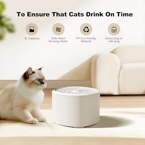 Automatic Cat Feeder & Water Dispenser (Automatic Cat Feeder and Water)