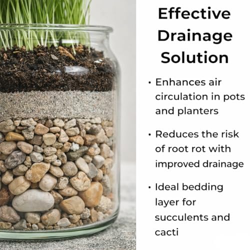 Horticultural Coarse Desert Sand for Plants (Coarse Sand / 4 Quarts)