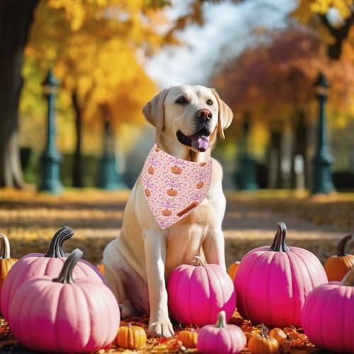 Pink Halloween Dog Bandanas Girl (X-Large / Halloween)