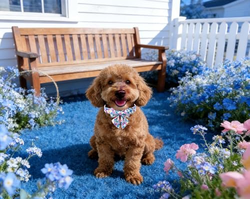 Floral Dog Collar with Sailor Bow (Blossom in Dreams(Sailor Bow) / X-Large (Pack of 1))