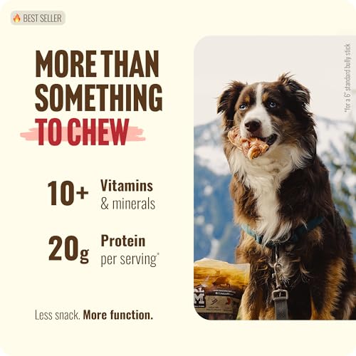 Odor Free Braided Bully Sticks (6" Braided - 3 Count)