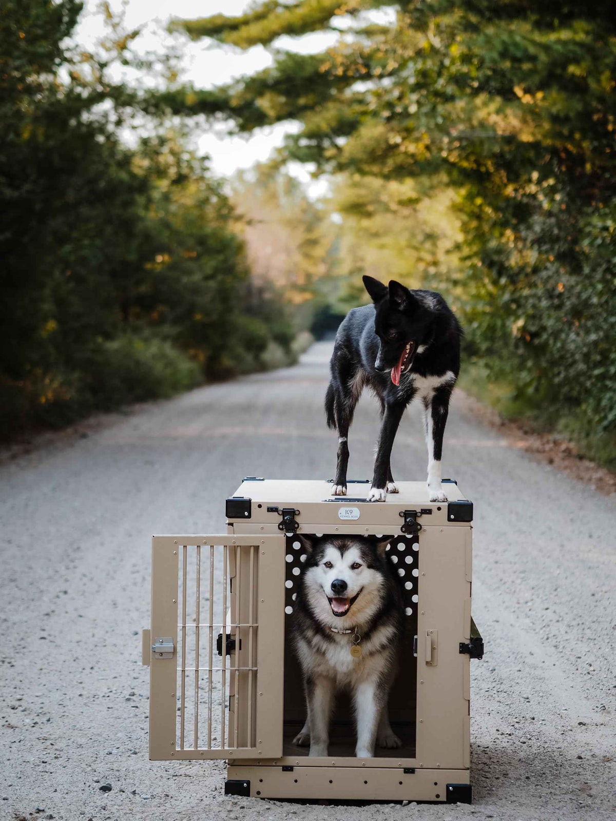 Aluminum Collapsible Dog Crate (Tan / 41.6"L x 29.7"W x 33.9"H)