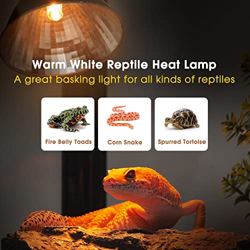 G9 Heat Lamp Bulbs for Reptile Mini Reptile Light Warm 50W 2 Pack (Warm Bulb / 2 Pack)