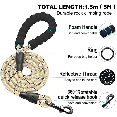 Dog Harness with Leash Set (XL / Beige)