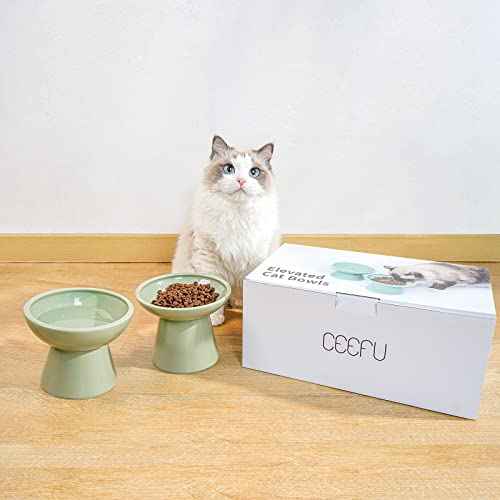 Extra Wide Elevated Ceramic 6.2" Deeper Cat Water Bowl (Sage Green-Deeper)