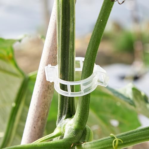 200 Pcs Plant Support Clips (White)