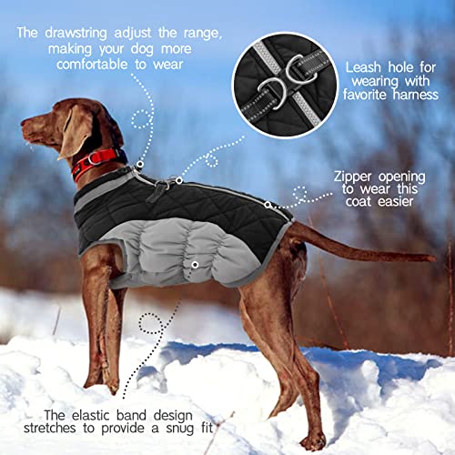 Dog Coat for Small Dogs (Black / S(chest:17in))