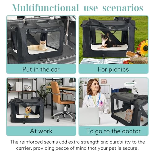 Large Cat Carrier for 2 Cats (Black)
