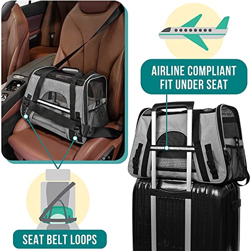 Airline Approved Pet Carrier for Cats & Small Dogs (Light Gray / 19.5"L x 10.2"W x 12.0"H)