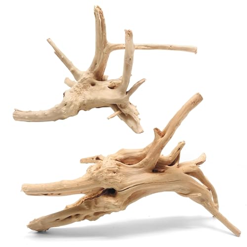 Natural Spiderwood for Aquarium Decor 2 (Spiderwood （11-14 inch pack of 2）)