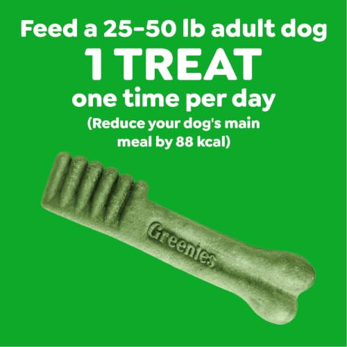 Regular Dental Dog Treats (18 Count (Pack of 1))
