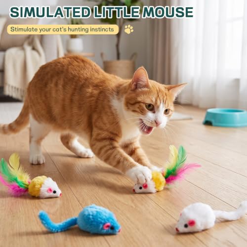 24 Pcs Cat Toys Set for Indoor Cats